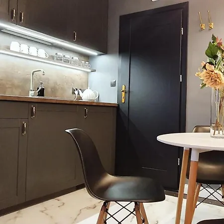 Dk Premium Warmińska Secesja Apartament