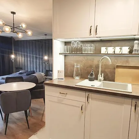 Dk Premium Warmińska Secesja * Olsztyn (Warmian-Masurian)