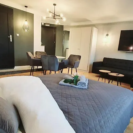 Dk Premium Warminska Secesja Apartment Olsztyn (Warmian-Masurian)