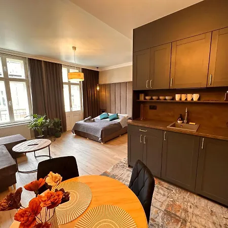 Dk Premium Warmińska Secesja * Olsztyn (Warmian-Masurian)