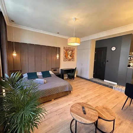 Apartament Dk Premium Warmińska Secesja Olsztyn (Warmian-Masurian)